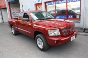 DODGE DAKOTA