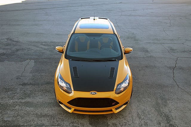242824-large-Shelby-_1