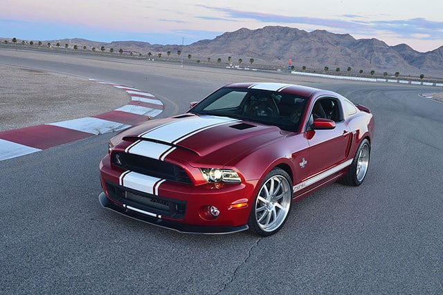242826-large-Shelby-_3