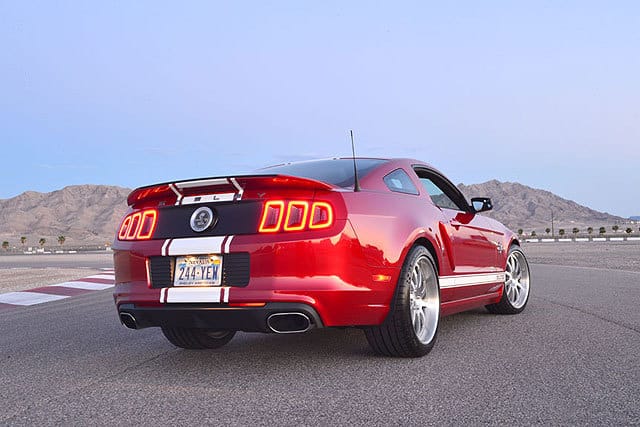 242829-large-Shelby-_6