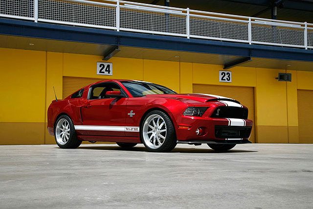 242830-large-Shelby-_7