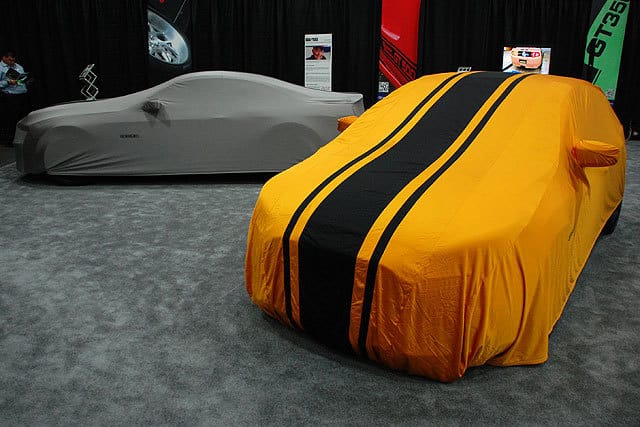 242831-large-Shelby-_8