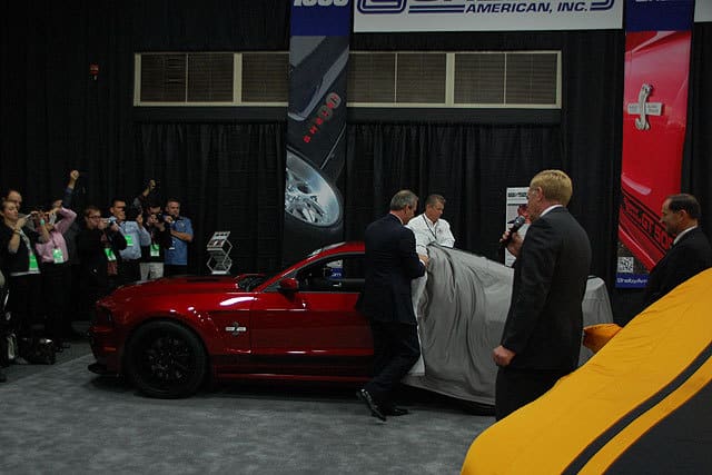 242833-large-Shelby-_10