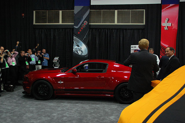 242834-large-Shelby-_11