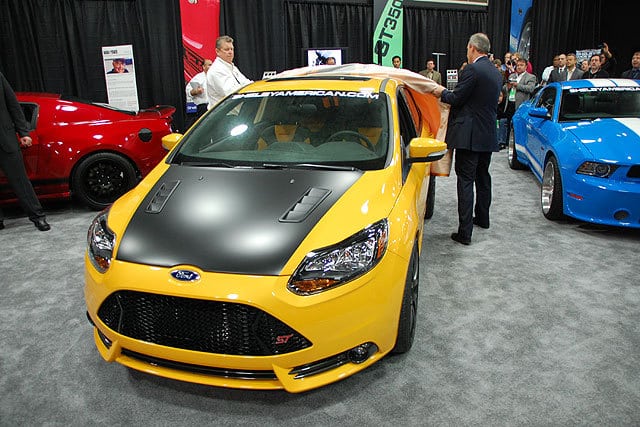 242836-large-Shelby-_13