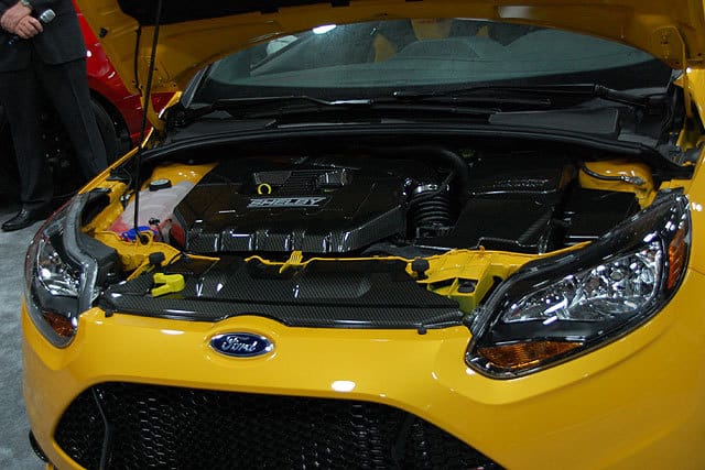 242838-large-Shelby-_15