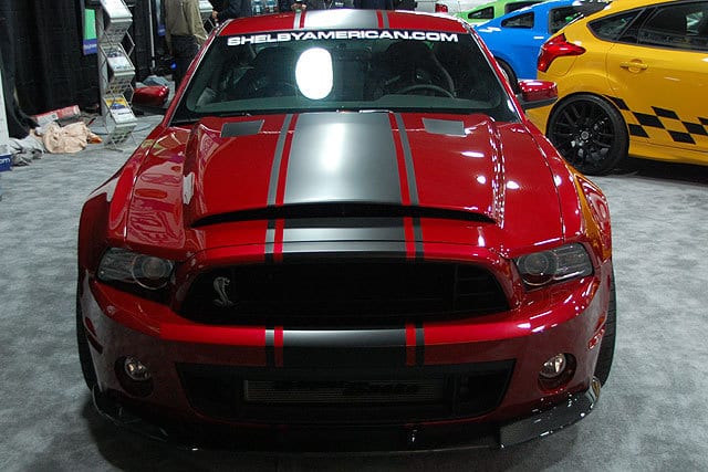 242843-large-Shelby-_20