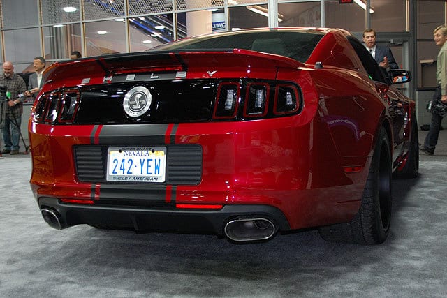 242844-large-Shelby-_21